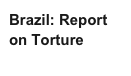 Brazil: Report on Torture